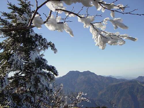 http://entotsuyama.hobby-web.net/33ishiduchi.jpg