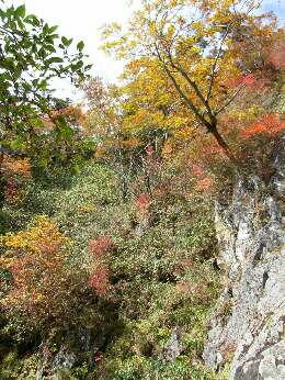 http://entotsuyama.hobby-web.net/img4801.jpg