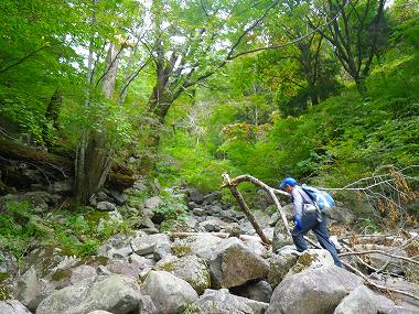 http://entotsuyama.hobby-web.net/IMGP1884.jpg