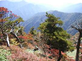 http://entotsuyama.hobby-web.net/44ranboru.jpg