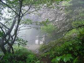 http://entotsuyama.hobby-web.net/img5128.jpg
