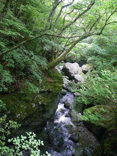 http://entotsuyama.hobby-web.net/nishinokawa36oji40.jpg
