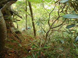 http://entotsuyama.hobby-web.net/kitah20n10g33.jpg