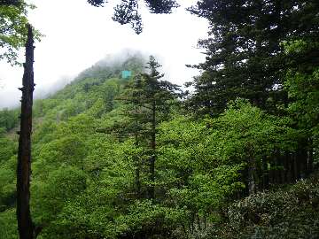 http://entotsuyama.hobby-web.net/suishou44.jpg