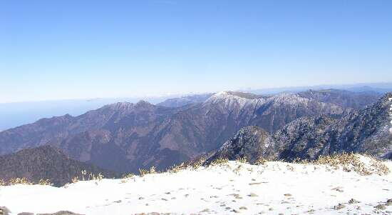 http://entotsuyama.hobby-web.net/img5013.jpg