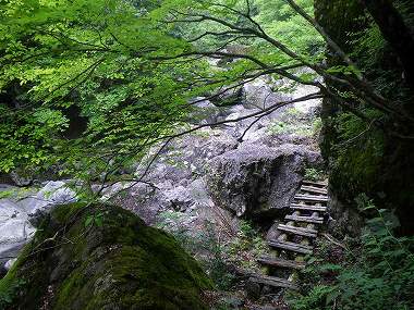 http://entotsuyama.hobby-web.net/nishinokawa36oji41.jpg