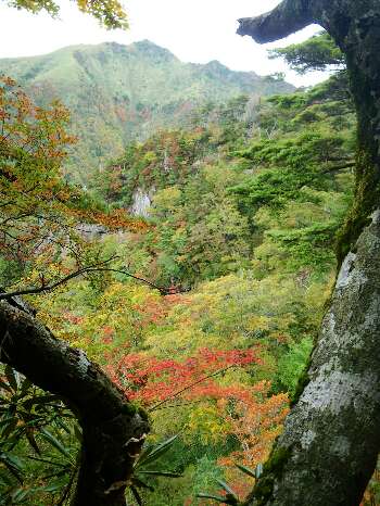 http://entotsuyama.hobby-web.net/kitah20n10g34.jpg