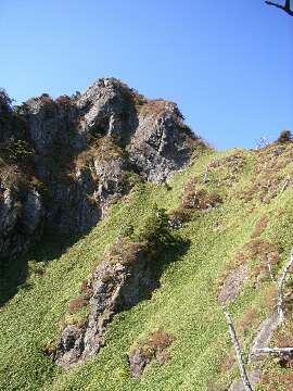 http://entotsuyama.hobby-web.net/45toryouonehe.jpg