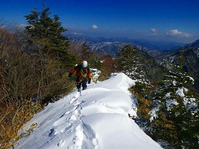 http://entotsuyama.hobby-web.net/toryo-44.jpg