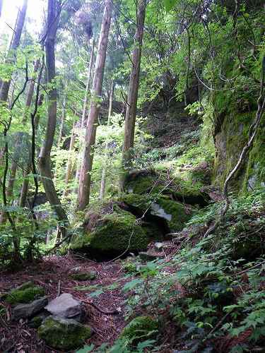 http://entotsuyama.hobby-web.net/nishinokawa36oji42.jpg