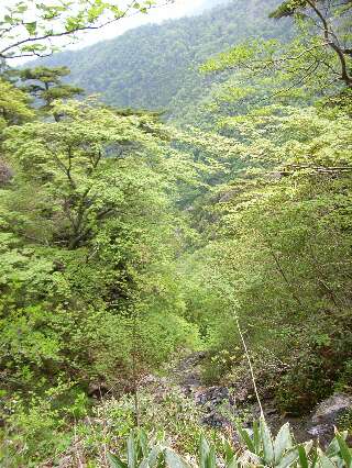 http://entotsuyama.hobby-web.net/ishikitajun40f6ue.jpg