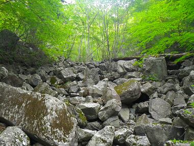 http://entotsuyama.hobby-web.net/IMGP1889.jpg