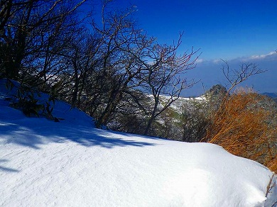 http://entotsuyama.hobby-web.net/toryo-45.jpg