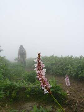 http://entotsuyama.hobby-web.net/img5131.jpg