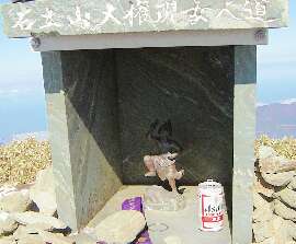 http://entotsuyama.hobby-web.net/40zaougongen.jpg