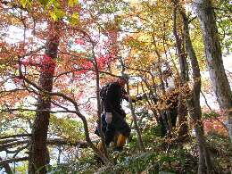 http://entotsuyama.hobby-web.net/img4805.jpg