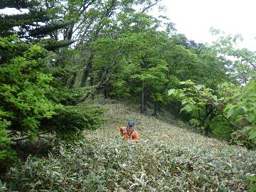 http://entotsuyama.hobby-web.net/suishou47.jpg