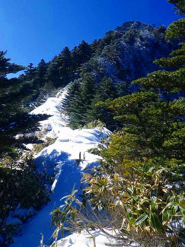 http://entotsuyama.hobby-web.net/toryo-46.jpg