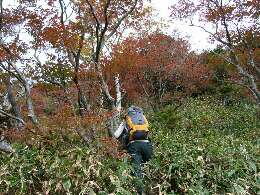 http://entotsuyama.hobby-web.net/img4806.jpg
