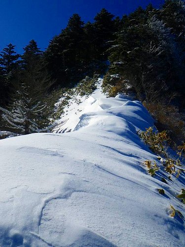 http://entotsuyama.hobby-web.net/toryo-47.jpg