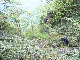 http://entotsuyama.hobby-web.net/ishikitajun43f6j.jpg