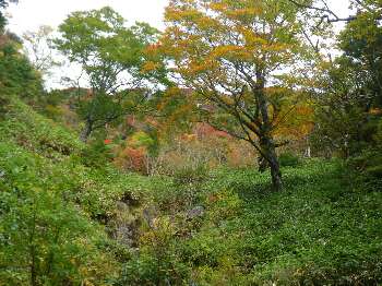 http://entotsuyama.hobby-web.net/kitah20n10g40.jpg