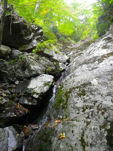 http://entotsuyama.hobby-web.net/IMGP1892.jpg