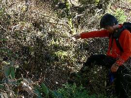 http://entotsuyama.hobby-web.net/55daiichigenryu.jpg