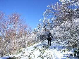 http://entotsuyama.hobby-web.net/img5018.jpg