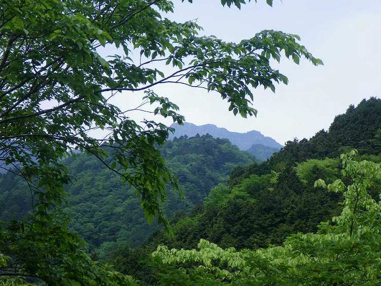 http://entotsuyama.hobby-web.net/nishinokawa36oji46big.jpg