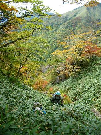 http://entotsuyama.hobby-web.net/kitah20n10g41.jpg