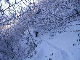 http://entotsuyama.hobby-web.net/img5019.jpg