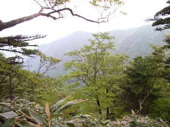 http://entotsuyama.hobby-web.net/ishikitajun46.jpg