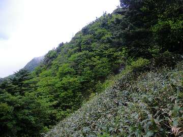 http://entotsuyama.hobby-web.net/suishou52.jpg