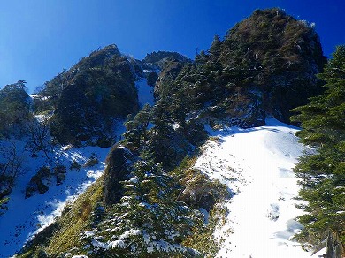 http://entotsuyama.hobby-web.net/toryo-50.jpg