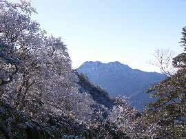 http://entotsuyama.hobby-web.net/img5020.jpg