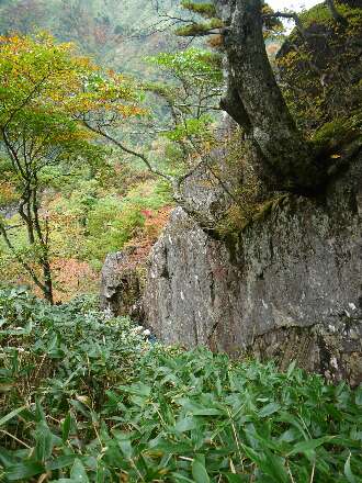 http://entotsuyama.hobby-web.net/kitah20n10g43.jpg