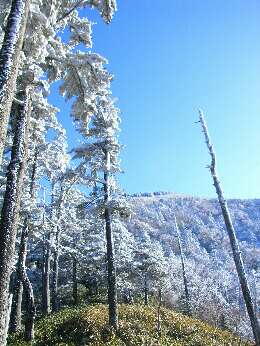 http://entotsuyama.hobby-web.net/img5021.jpg