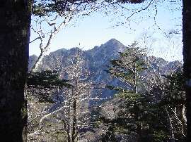 http://entotsuyama.hobby-web.net/44nishikuromo.jpg