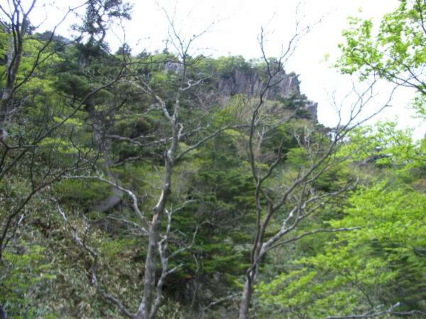 http://entotsuyama.hobby-web.net/ishikitajun45.jpg