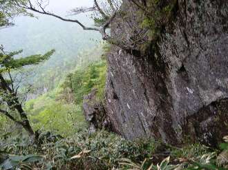http://entotsuyama.hobby-web.net/ishikitajun48iwa.jpg