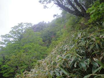 http://entotsuyama.hobby-web.net/suishou58.jpg