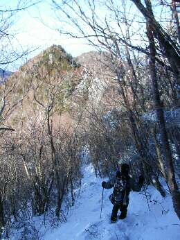 http://entotsuyama.hobby-web.net/img5023.jpg