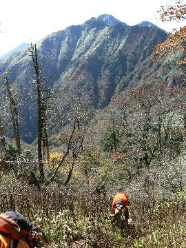 http://entotsuyama.hobby-web.net/61haiagaru.jpg