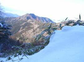 http://entotsuyama.hobby-web.net/img5024.jpg