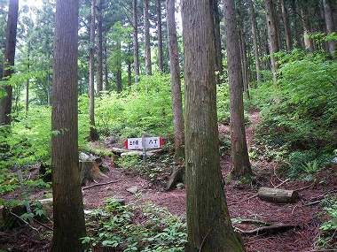 http://entotsuyama.hobby-web.net/nishinokawa36oji52.jpg
