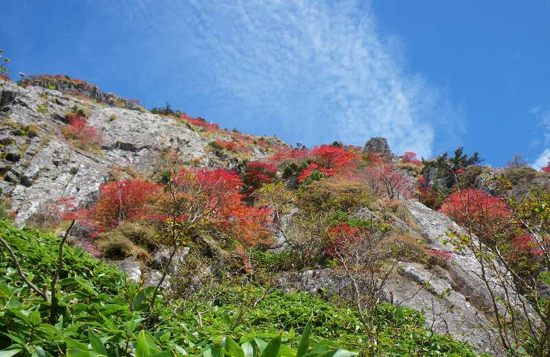 http://entotsuyama.hobby-web.net/kitah20n10g45.jpg
