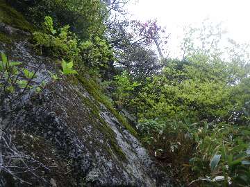 http://entotsuyama.hobby-web.net/suishou60.jpg