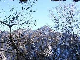 http://entotsuyama.hobby-web.net/img5025.jpg