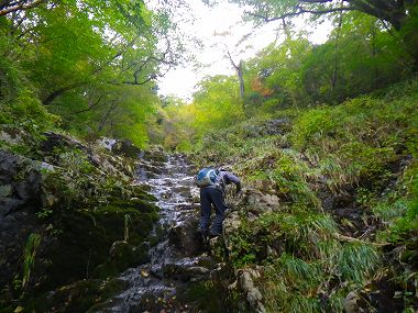 http://entotsuyama.hobby-web.net/IMGP1907.jpg